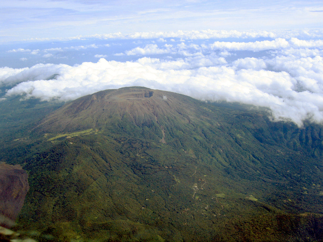 El Salvador Coffee is Impacting Education in the Shadow of an Extinct Volcano