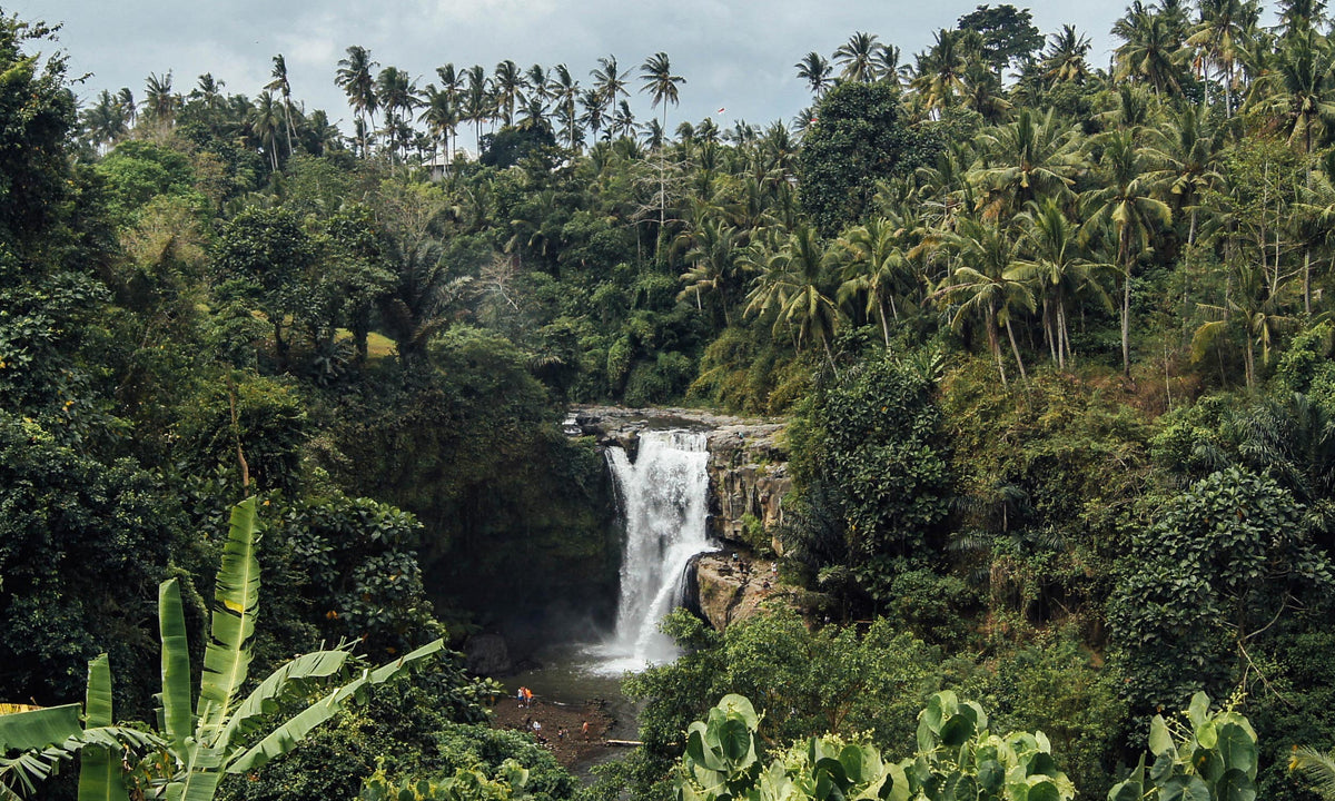 Indonesia