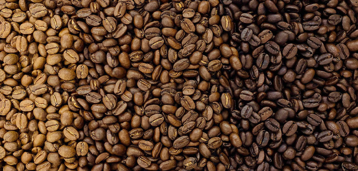 Light Roast Coffee